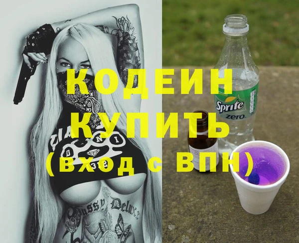 молекула духа Козельск
