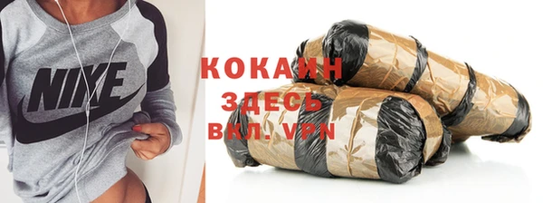 шишки Кодинск