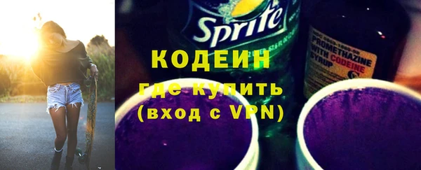 молекула духа Козельск