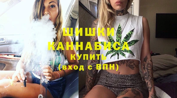 молекула духа Козельск