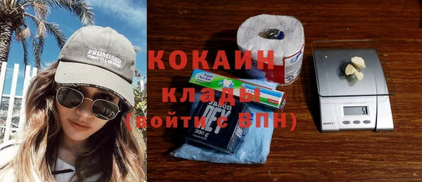 молекула духа Козельск