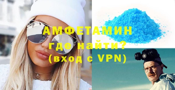 шишки Кодинск