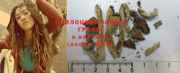 молекула духа Козельск