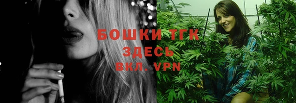 шишки Кодинск