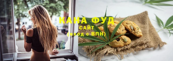 молекула духа Козельск